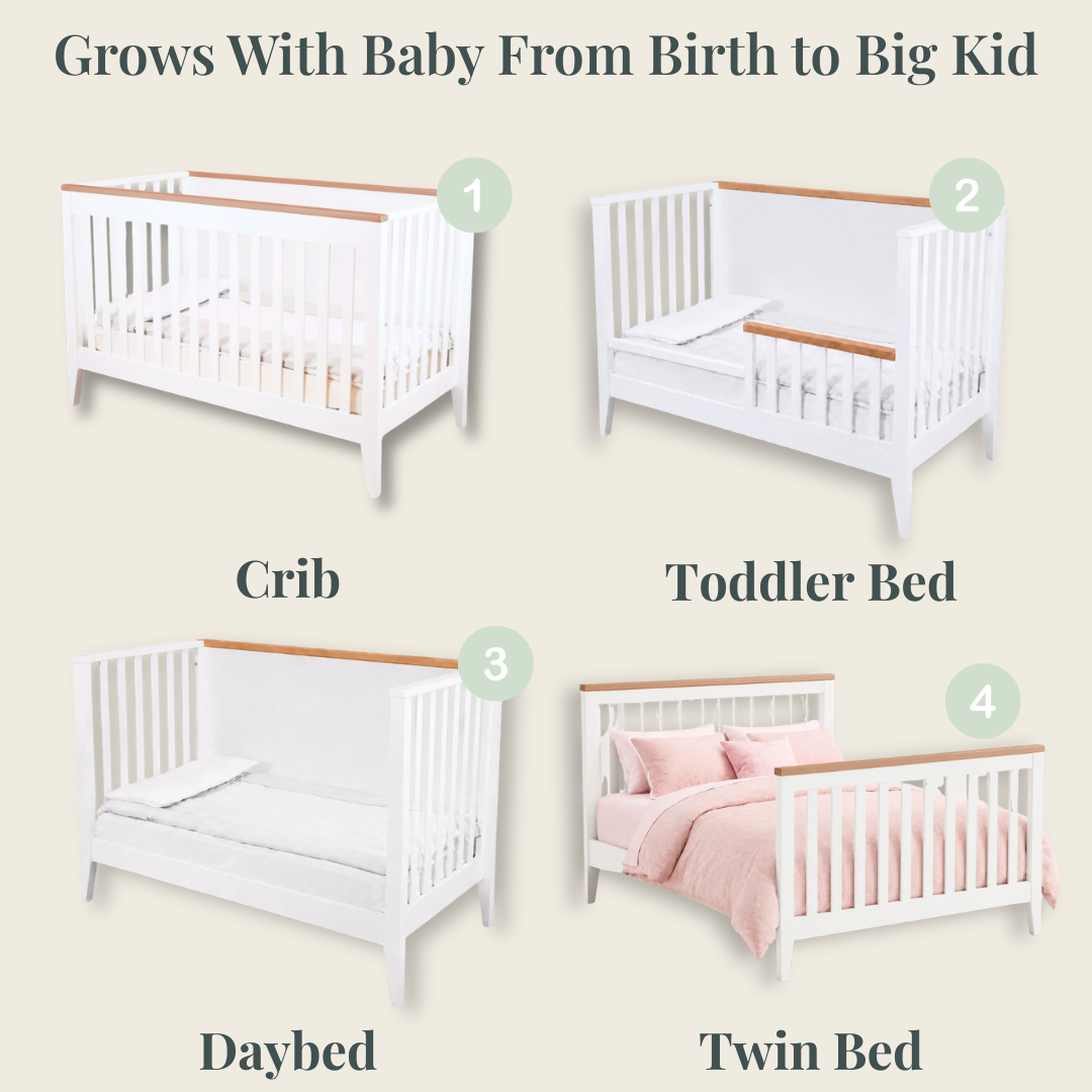 Botticelli Convertible Crib
